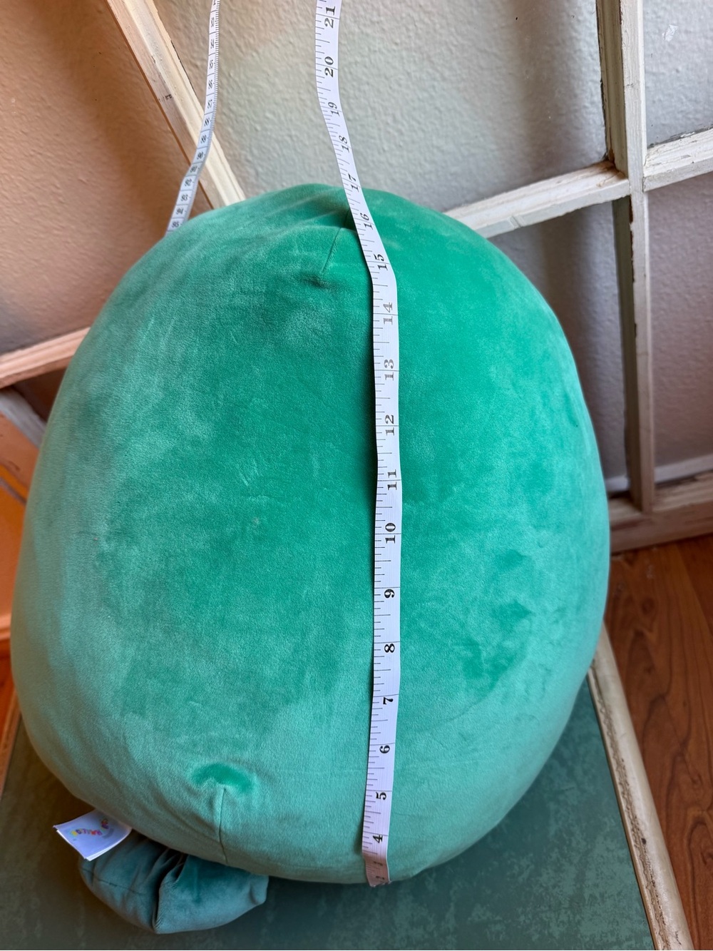 Squishmallows Selassi the Platypus – 14” Green Soft Plush w White Soft Belly - Picture 5 of 5